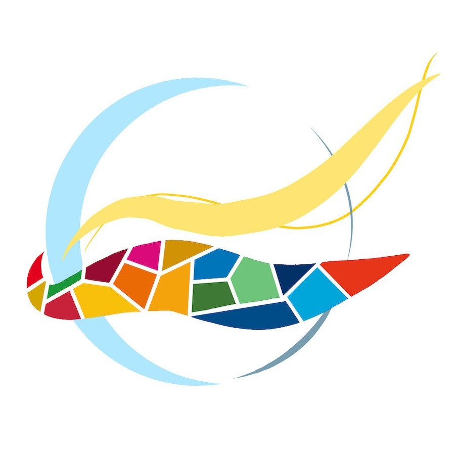 7791bbcf227d5a0ba1976530d59960c7-1761630272.jpg 7791bbcf227d5a0ba1976530d59960c7-1761630272.jpg