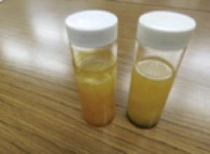 36ef4087160d36194d3f185af8cd6ad2-1761635680.jpg 36ef4087160d36194d3f185af8cd6ad2-1761635680.jpg