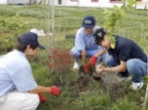 532a93b32e7dbbb58aecaef9dc5a6f76-1761635765.jpg 532a93b32e7dbbb58aecaef9dc5a6f76-1761635765.jpg